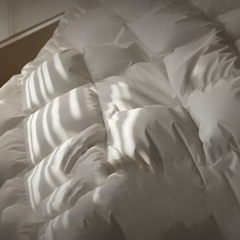 APSMILE All Seasons Goose Feather and Down Comforter