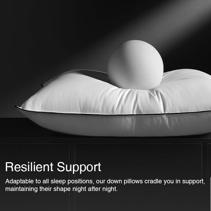 APSMILE 3D Duvet Pillows